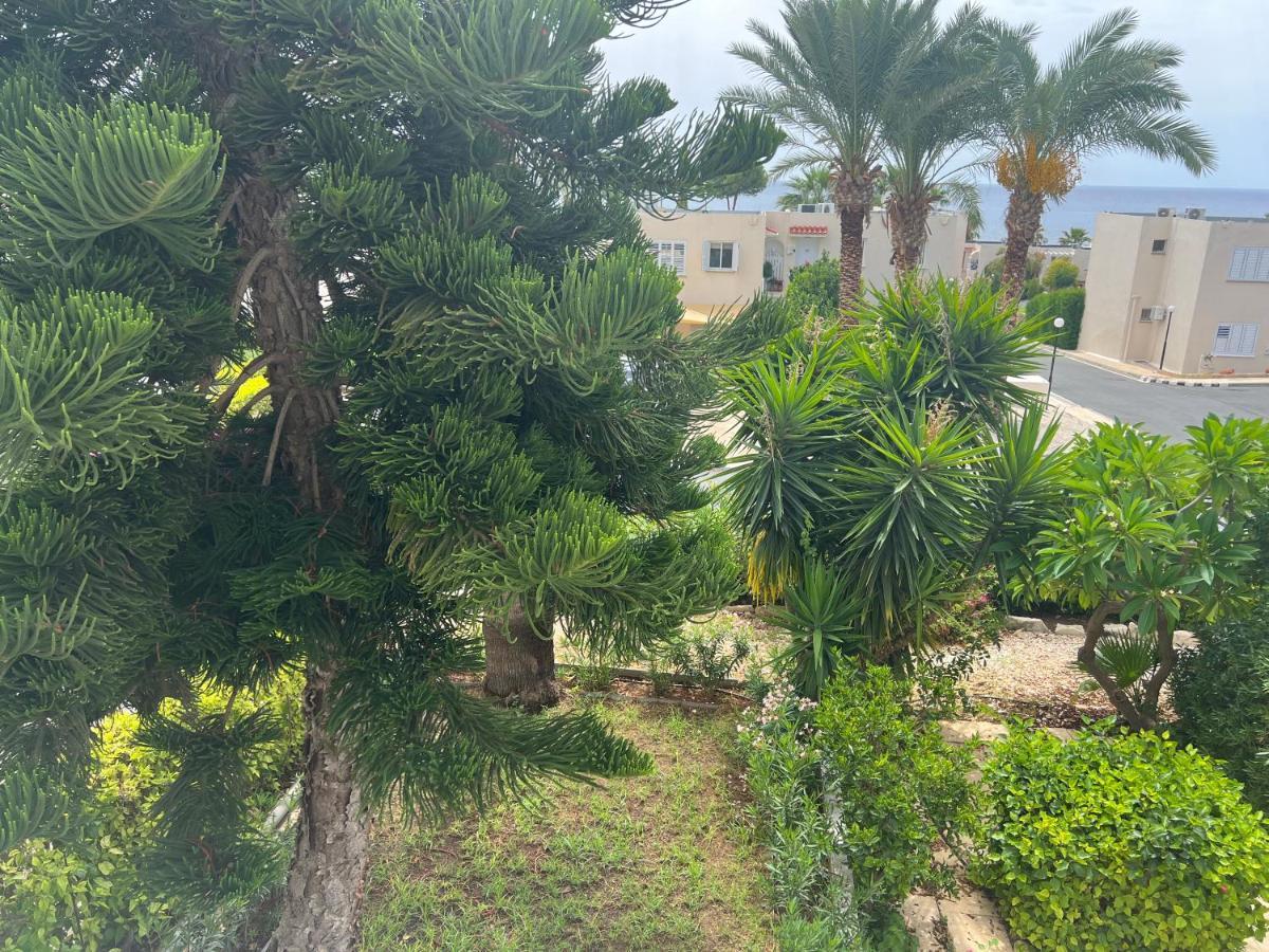 Modern Seaview Townhouse In Coral Bay (Adults Only) Appartement Peyia Buitenkant foto