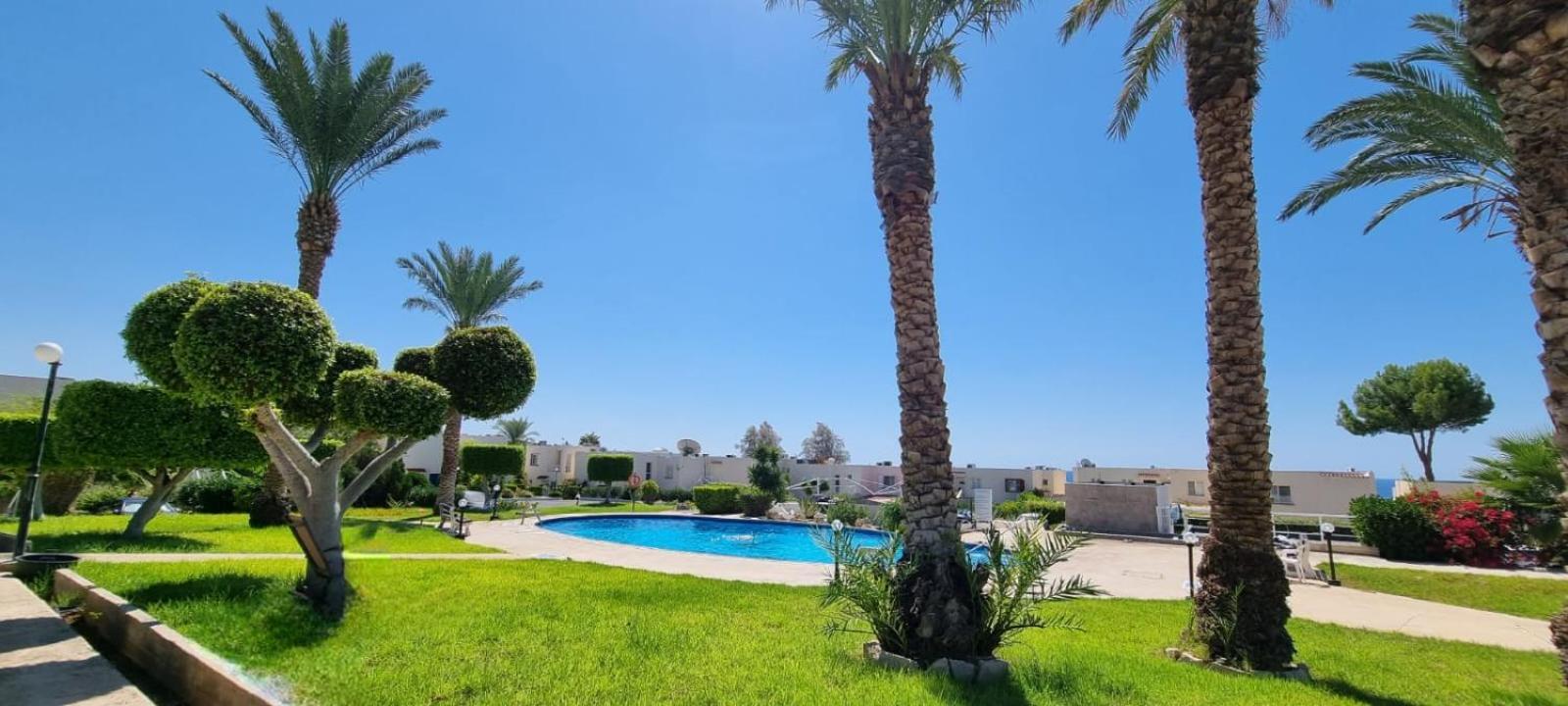Modern Seaview Townhouse In Coral Bay (Adults Only) Appartement Peyia Buitenkant foto