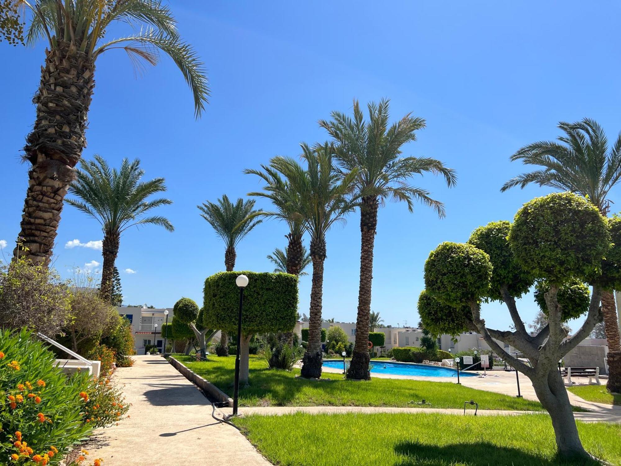 Modern Seaview Townhouse In Coral Bay (Adults Only) Appartement Peyia Buitenkant foto